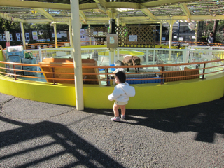 15197ECD-70E4-440C-86D4-5CDADEC27C82.jpg