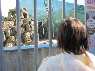 20067598-C61E-4621-9C9F-AD7B1697B7F0.jpg