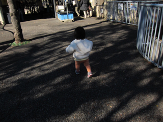 759BD56E-D72A-401B-BCB8-F752DDF7C30B.jpg